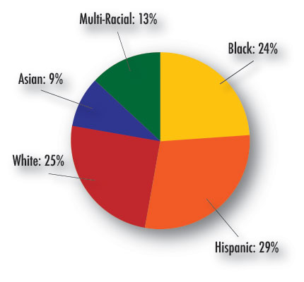 graph showing ethnic breakdown of ileap students