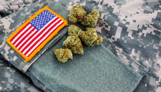 Cannabis and Veterans