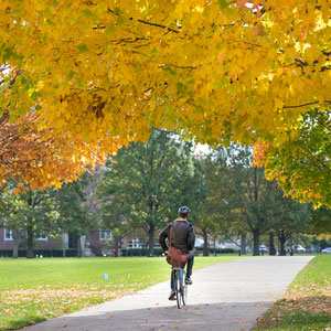 student riding a bicycle in Fall on Illinois campus