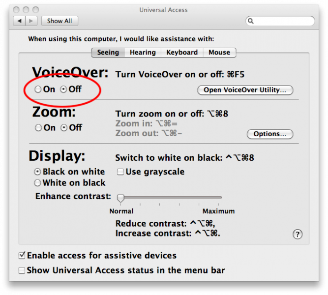 Screenshot showing OS X Universal Access Seeing options