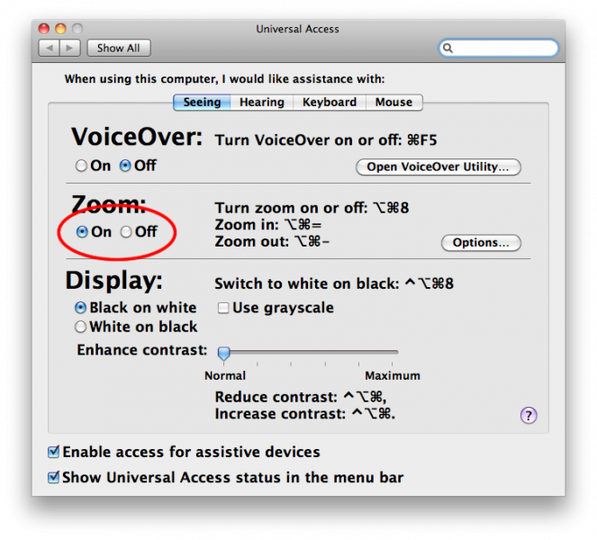 Screenshot of OS X Universal Access Seeing options